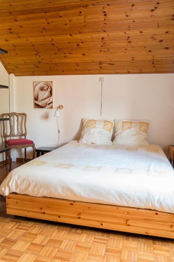 Vakantiewoning Het Oude Laer Билзен Екстериор снимка